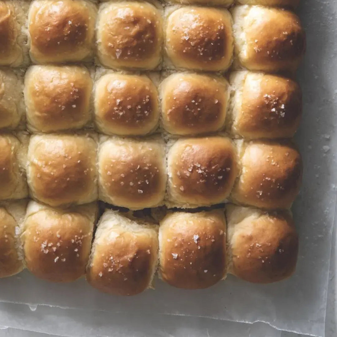 Freshly-baked dinner rolls on paper.