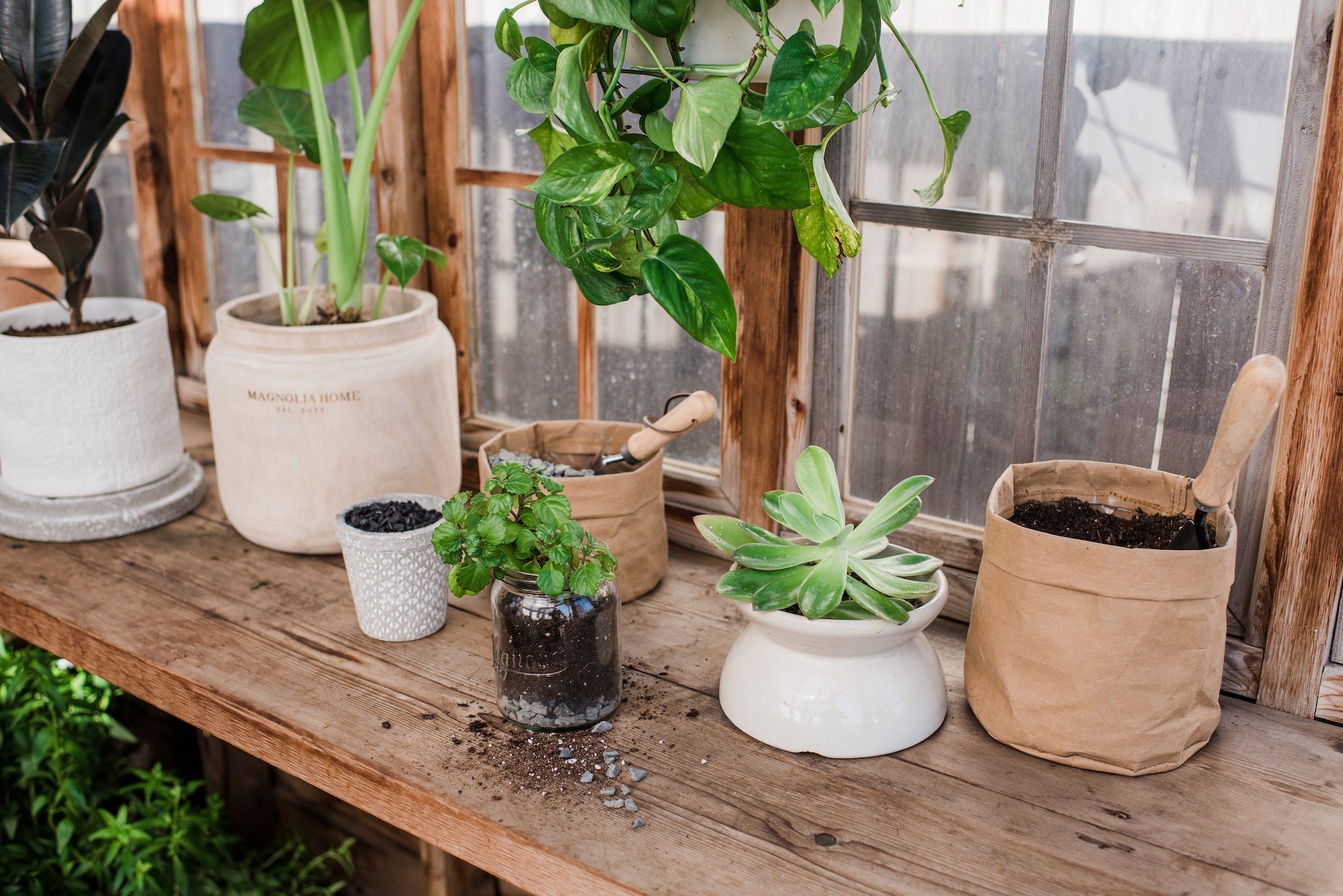 How to Plant in a Pot Without Drainage Holes  Magnolia