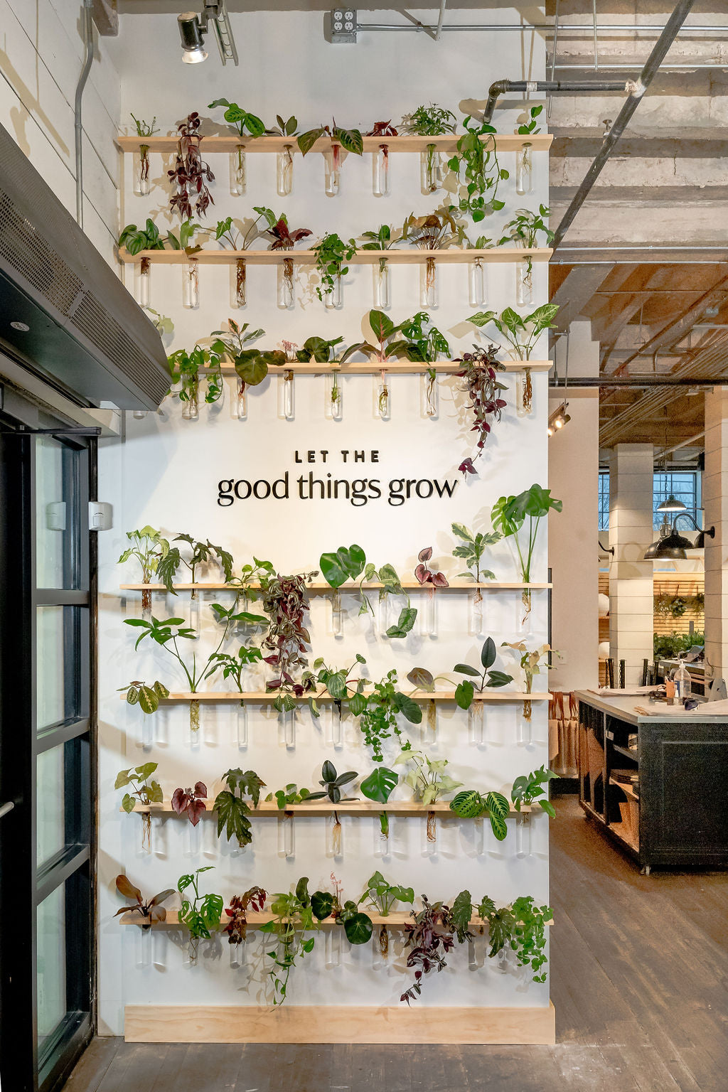 Spring at Magnolia Market: 2022