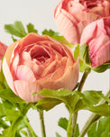 Coral Real Touch Ranunculus Stem up close