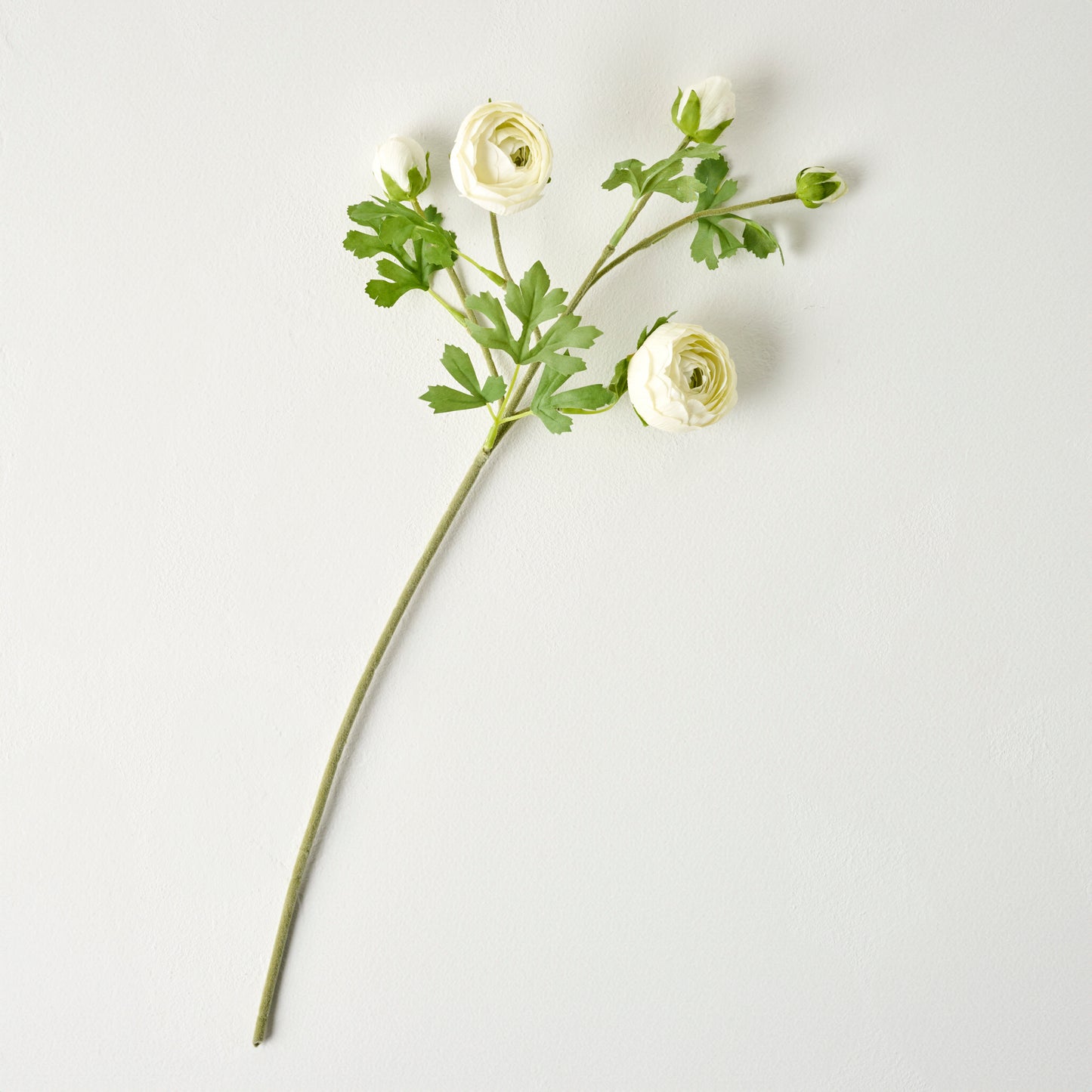 White Real Touch Ranunculus Stem