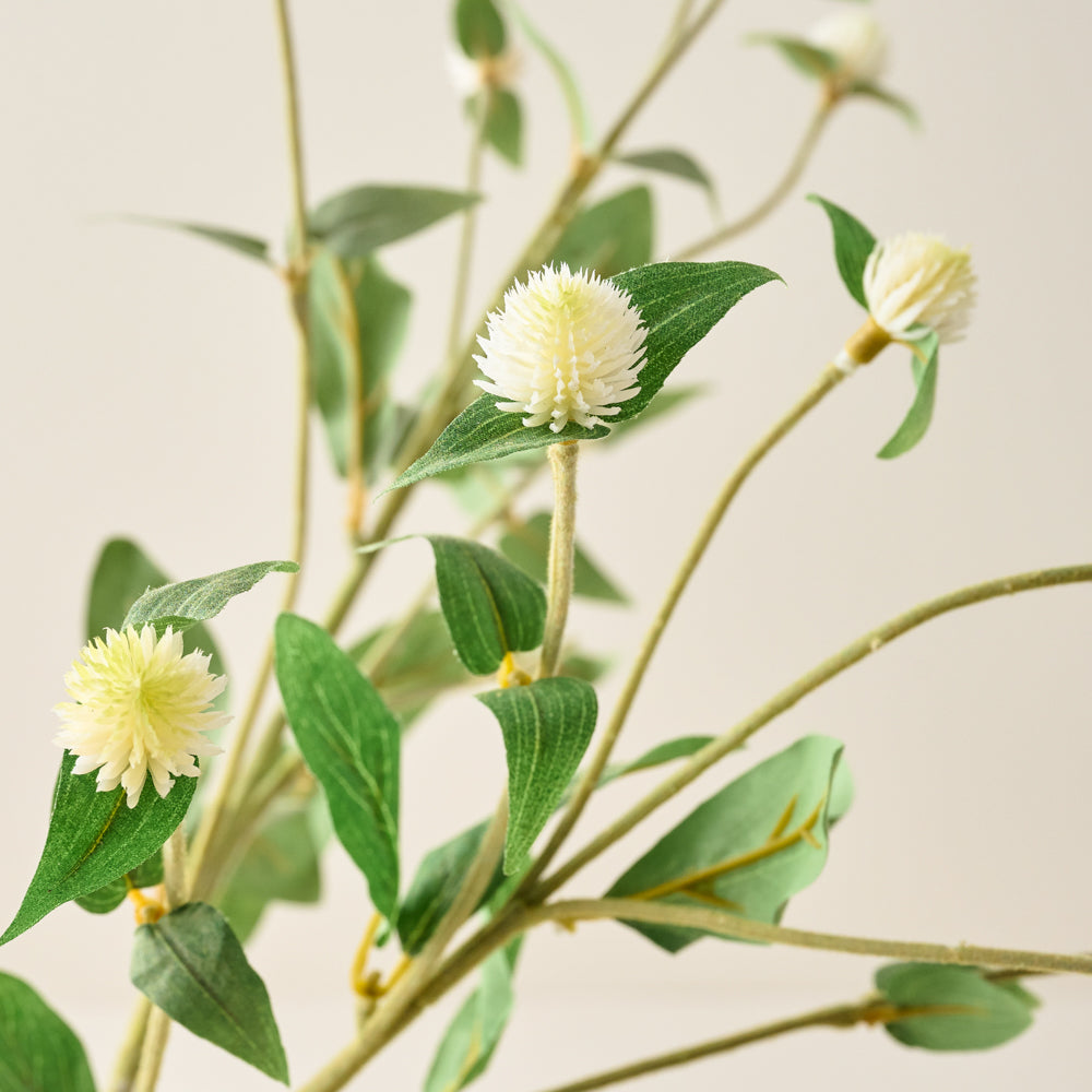 White Thistle Spray up close