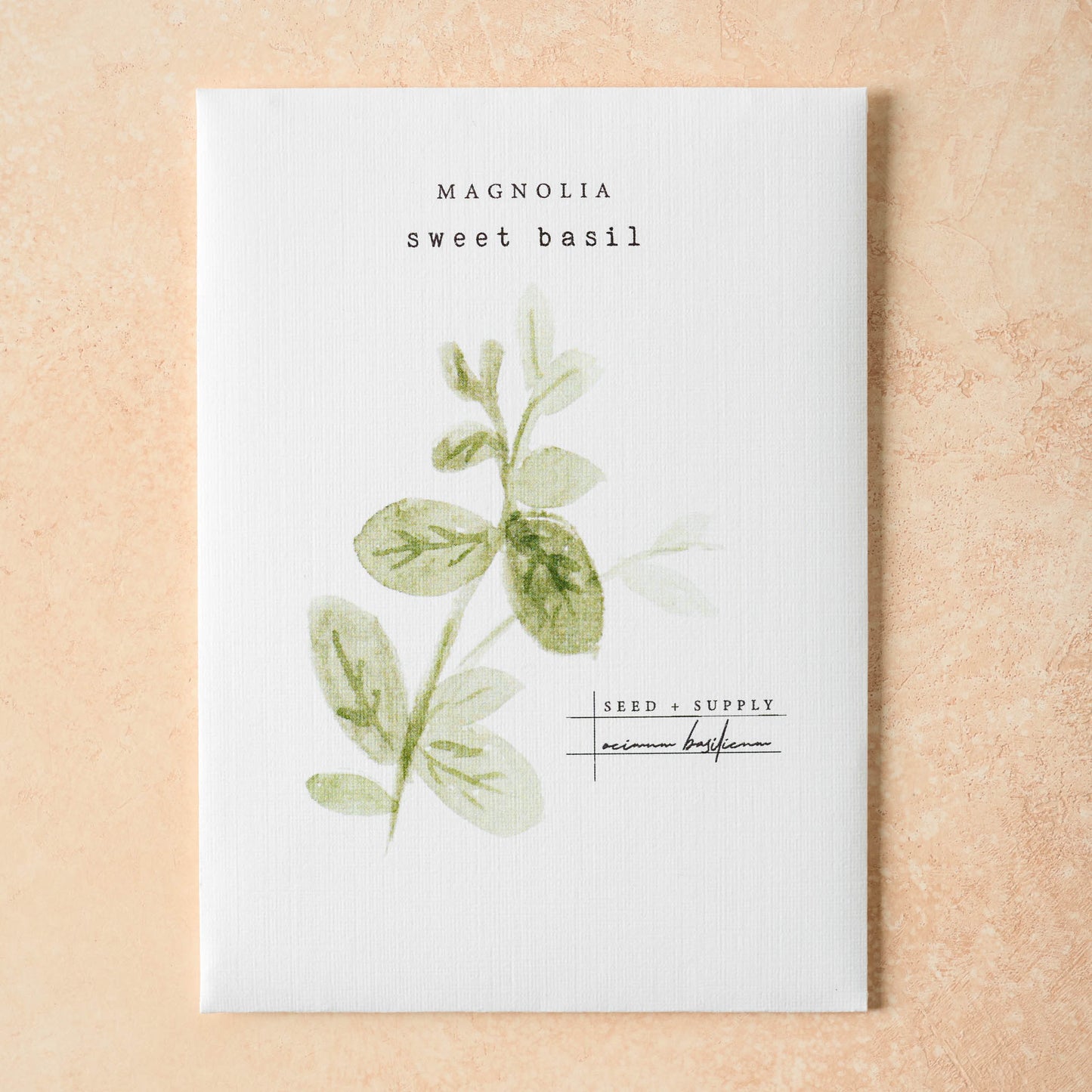 Watercolor Magnolia Seeds sweet basil