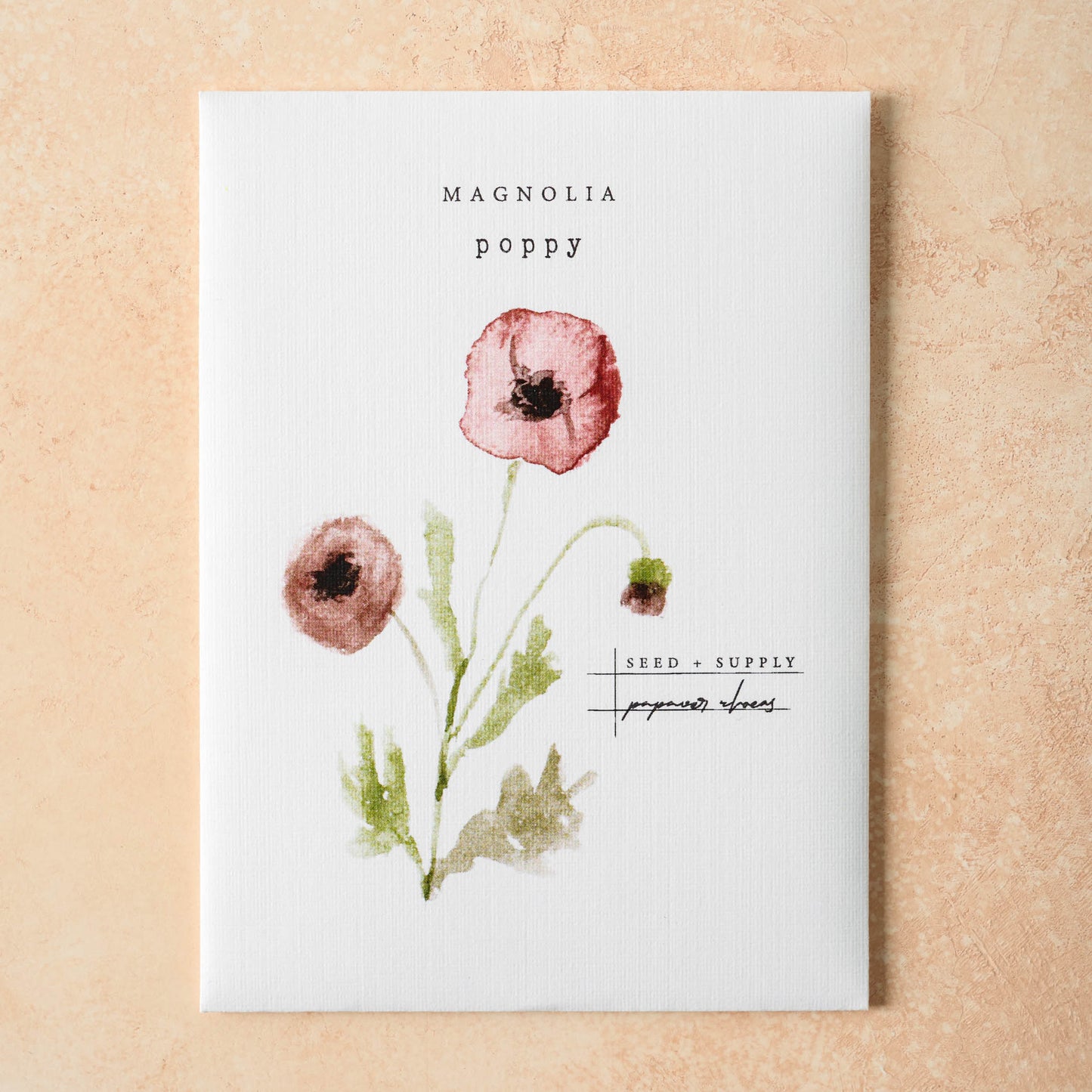 Watercolor Magnolia Seeds poppy