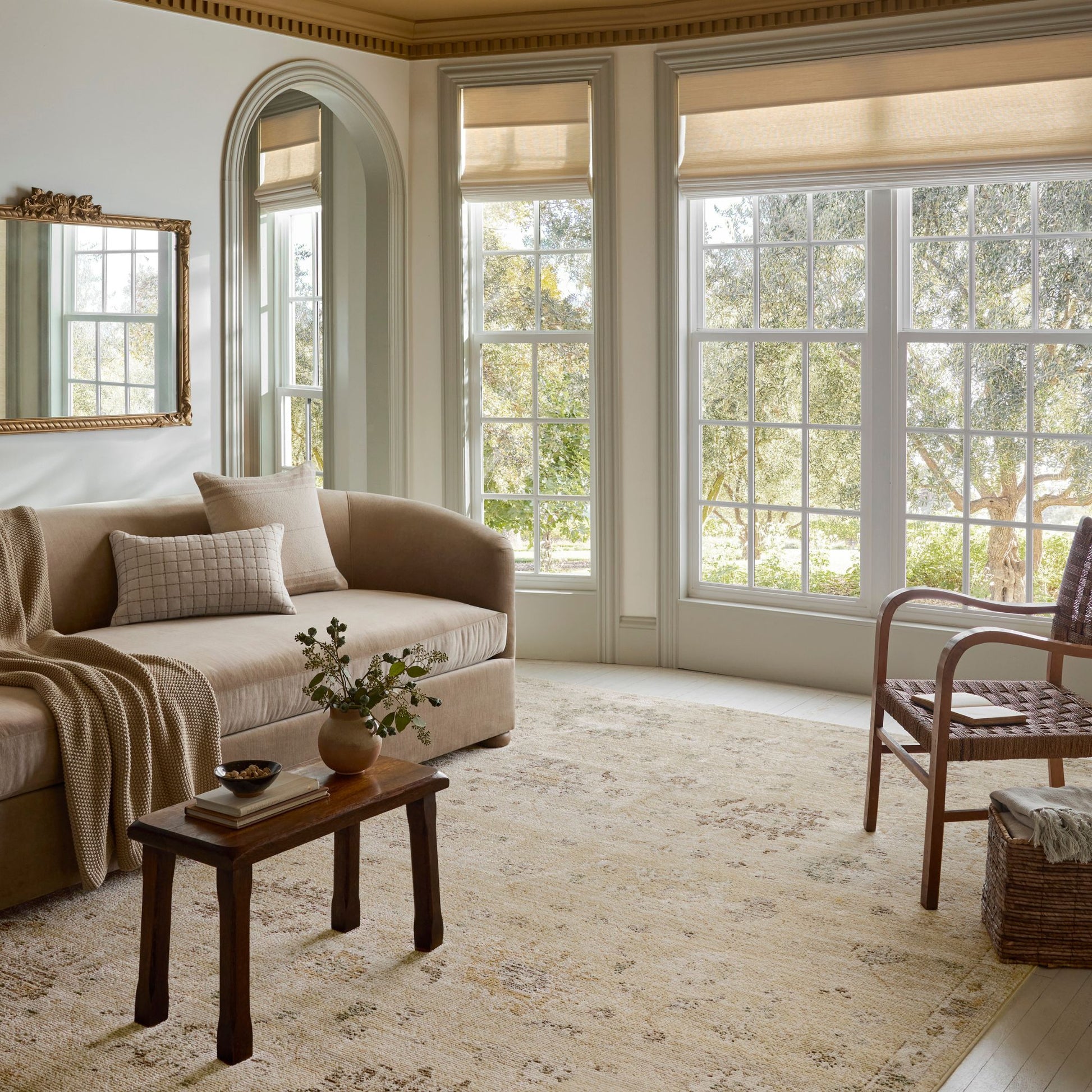 Pace Apricot Multi Rug shown in living room