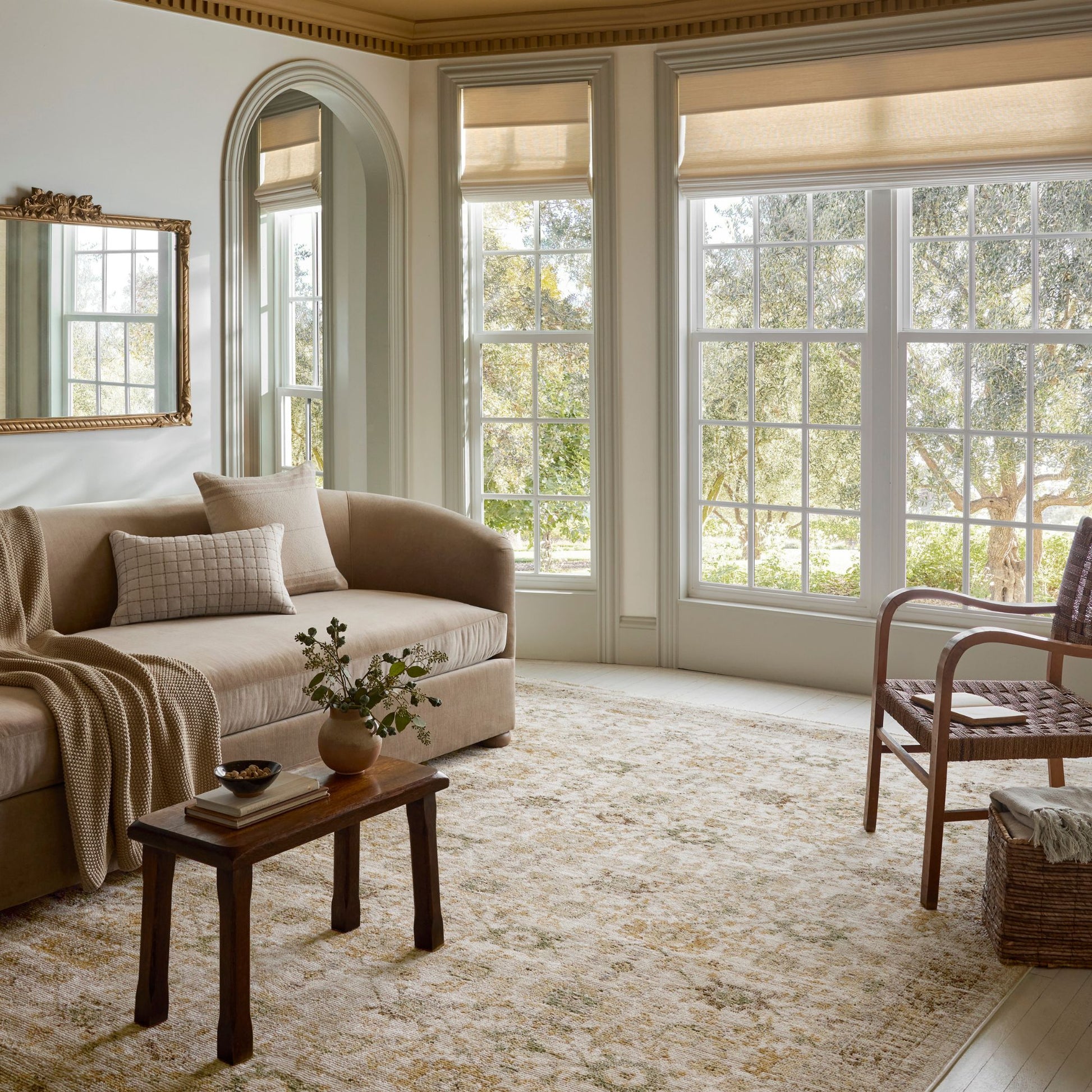 Pace Natural Multi Rug shown in living room