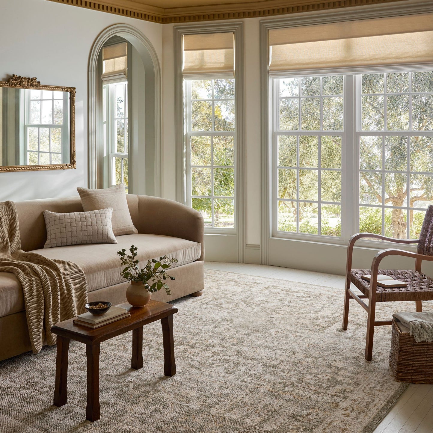 Pace Forrest Natural Rug shown in living room