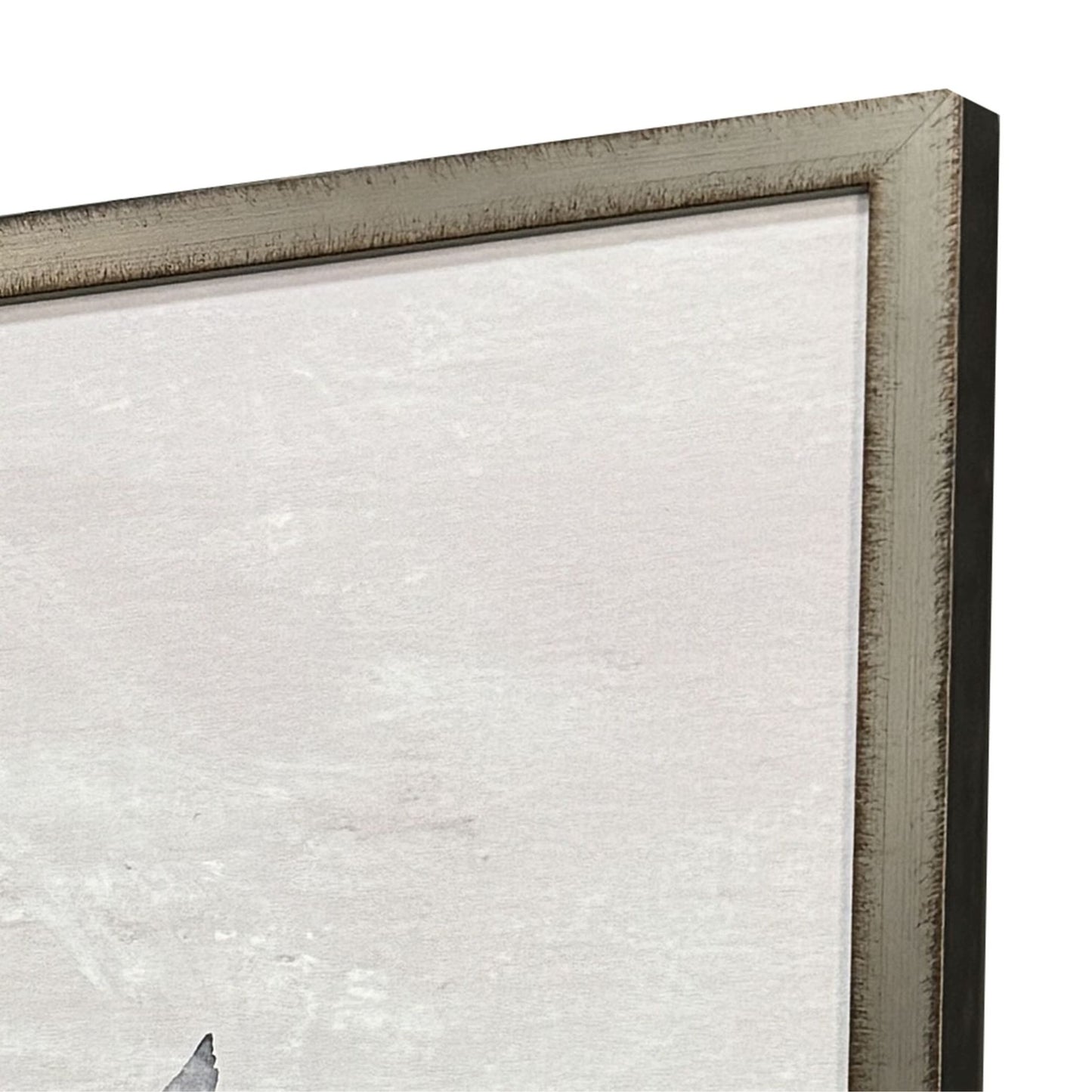 Migration frame up close