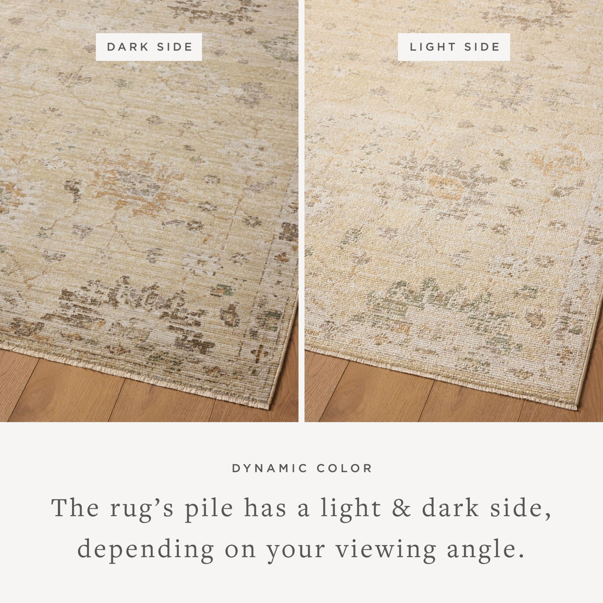 Pace Apricot Multi Rug viewing angles