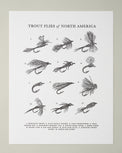 Guide To Trout Flies Print