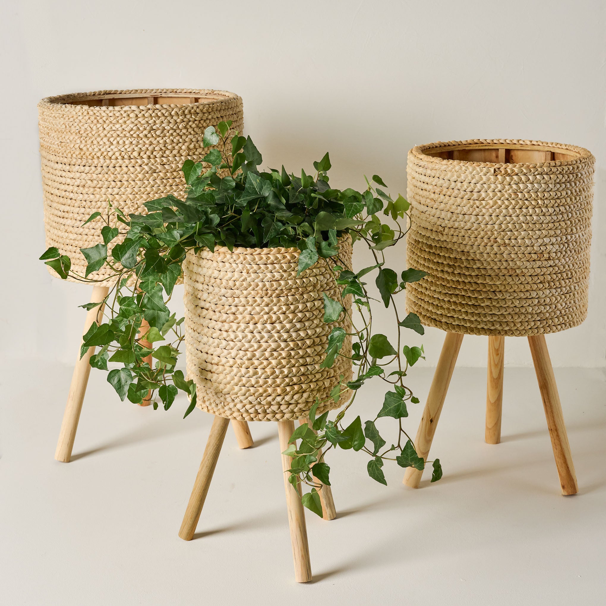 basket pot plant holders Bleached Woven Plant Stands
