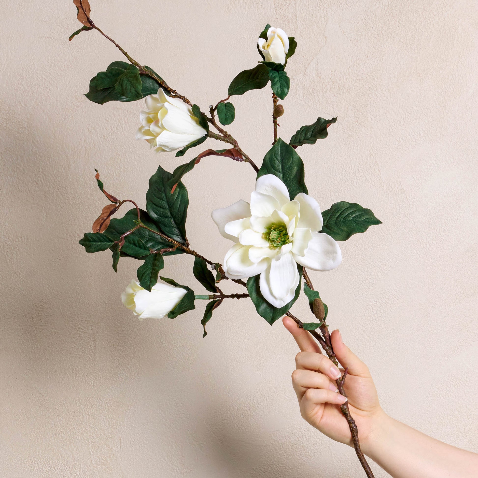 a hand holding Magnolia Spray