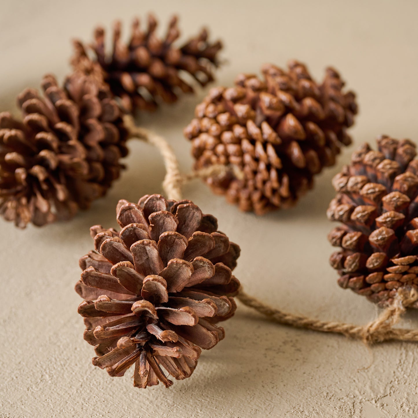 Natural Pinecone Garland up close