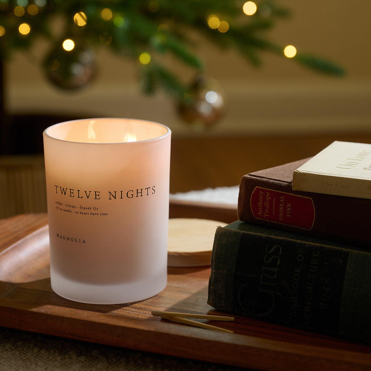 twelve nights candle lit on table near christmas tree