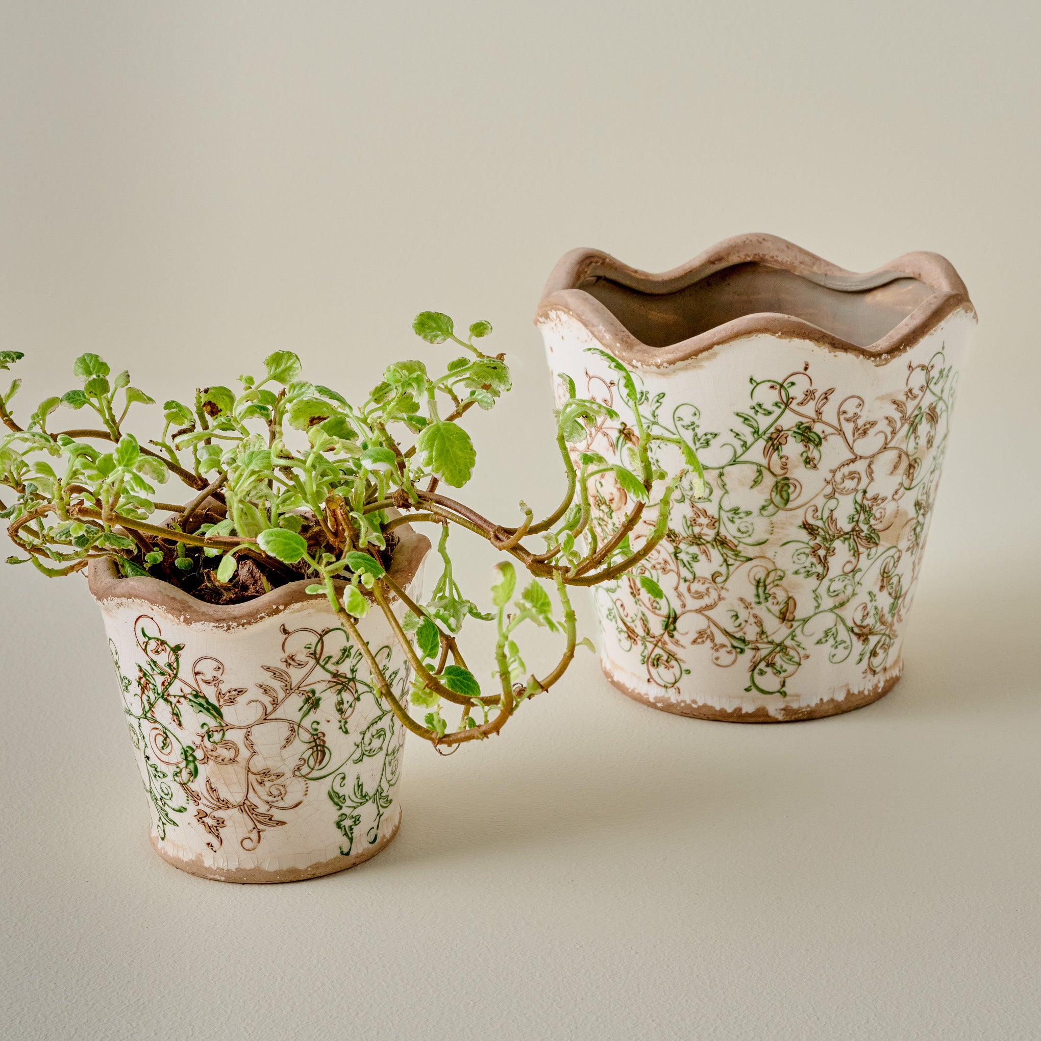 antique ceramic plant pot Green Scalloped Distressed Planter