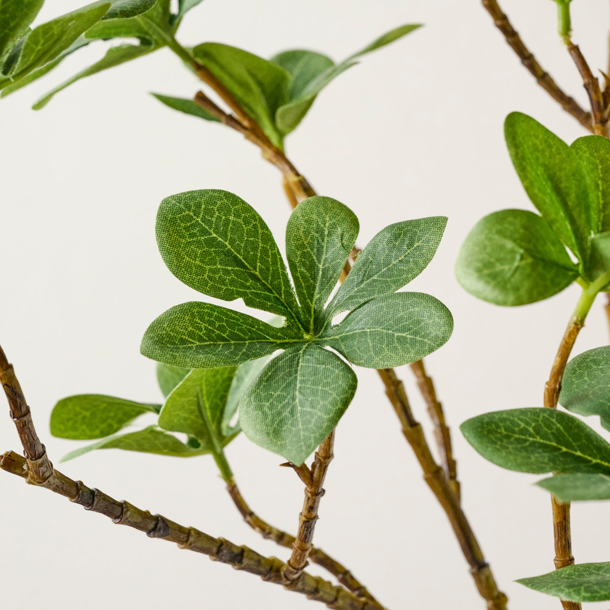 Oversized Green Leaf Branch up close