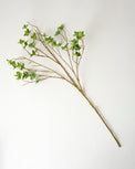 Oversized Green Leaf Branch