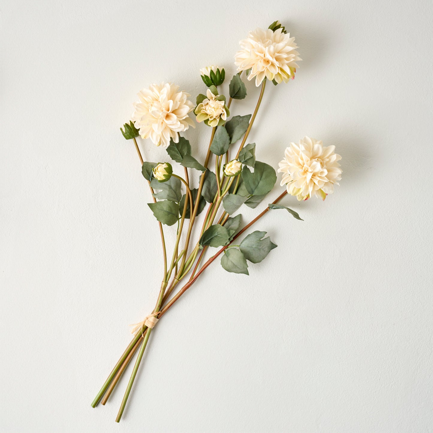 White Dahlia Bloom Bundle