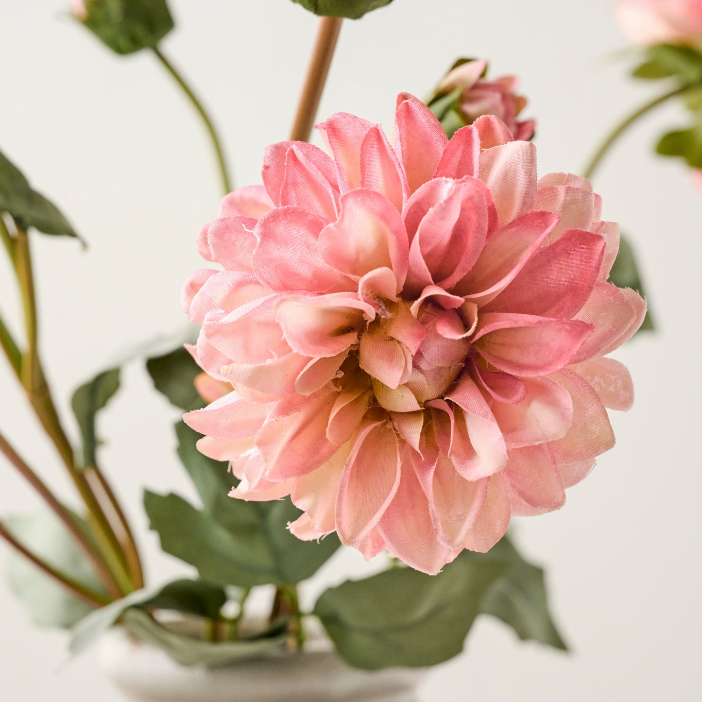 Pink Dahlia Bloom Bundle