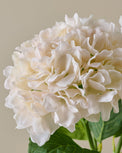 Real Touch Cream Hydrangea Bundle close up view