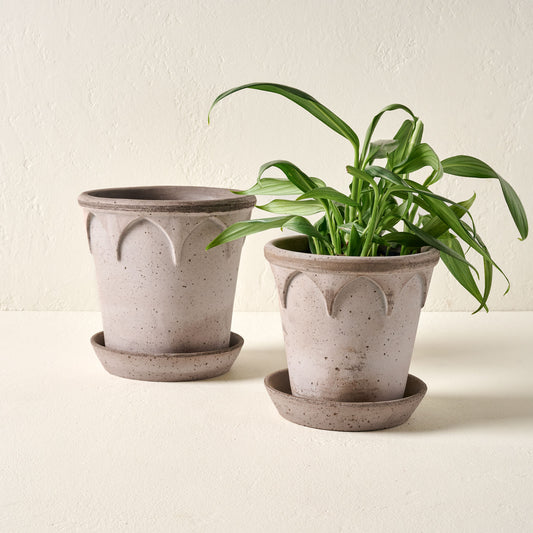 Small and Large Arched Bergs Pots shown with plant