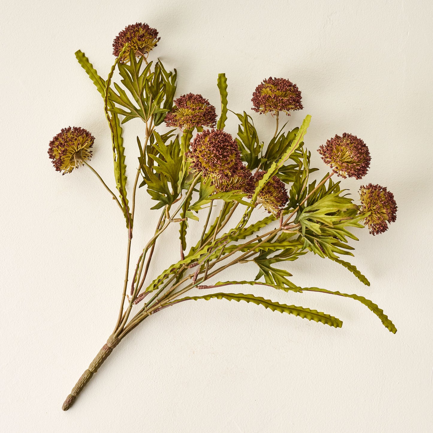 Brown Large Thistle Bush