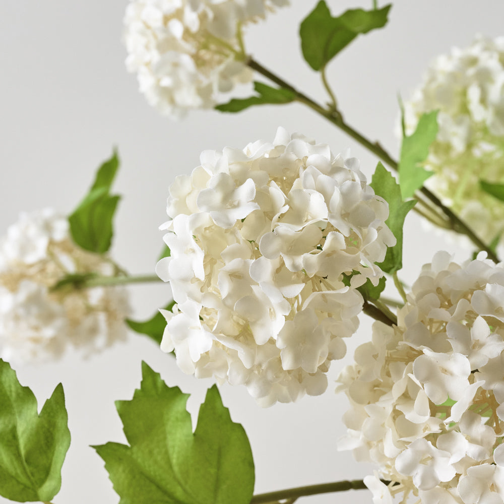 Snowball Hydrangea Bundle up close