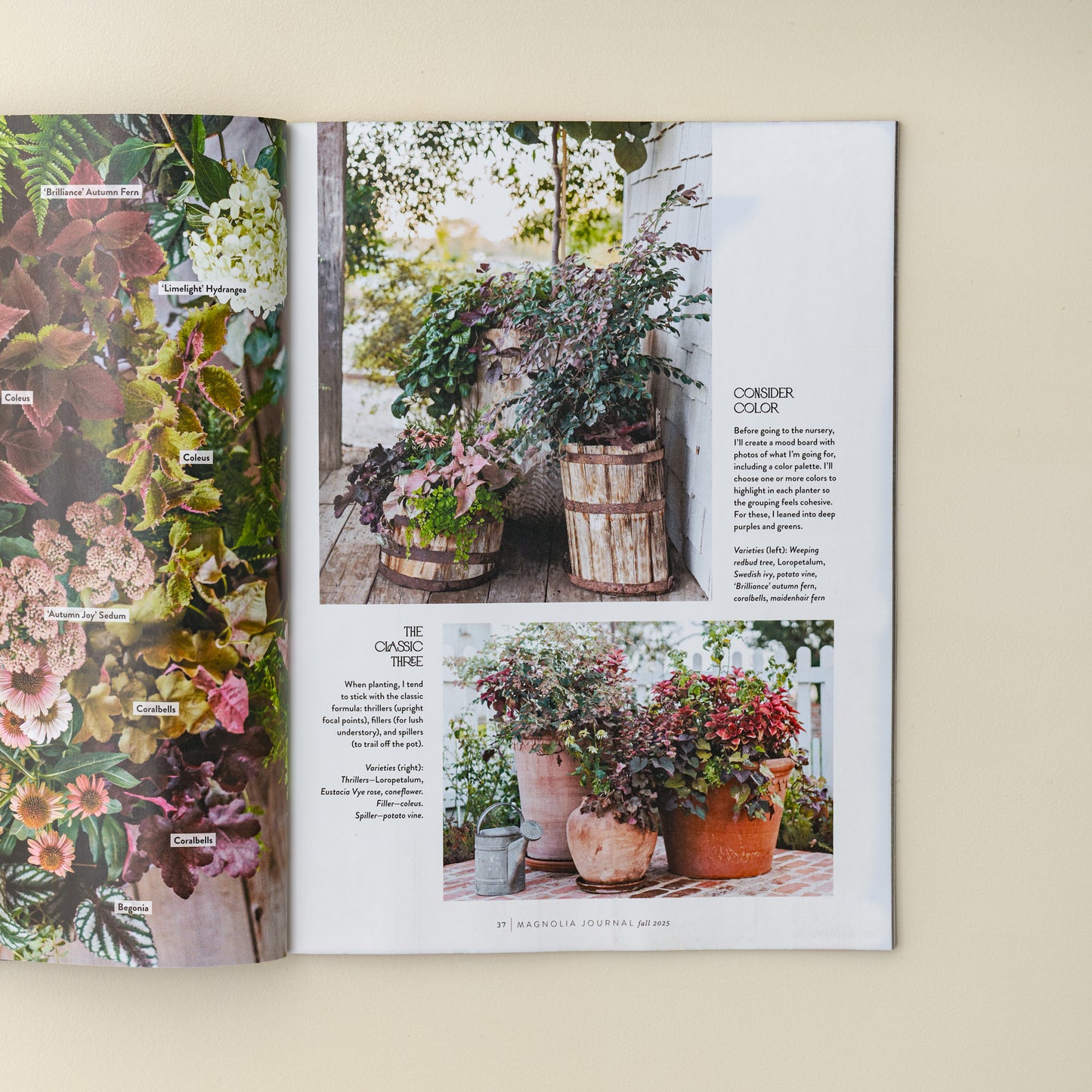 Magnolia Journal Fall 2025 shown open to page about fall outdoor florals