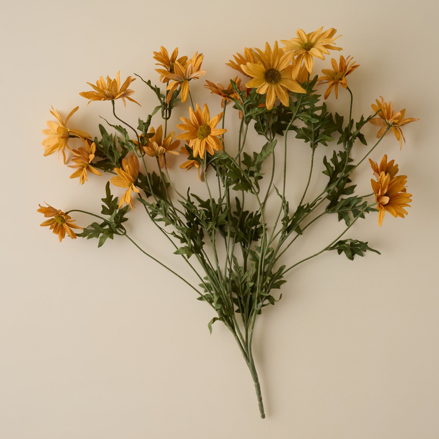 Wild Daisy Bouquet
