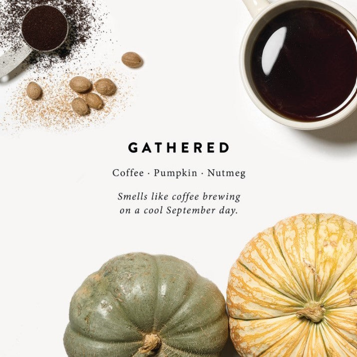 magnolia gathered candle scent notes of coffee pumpkin and nutmeg