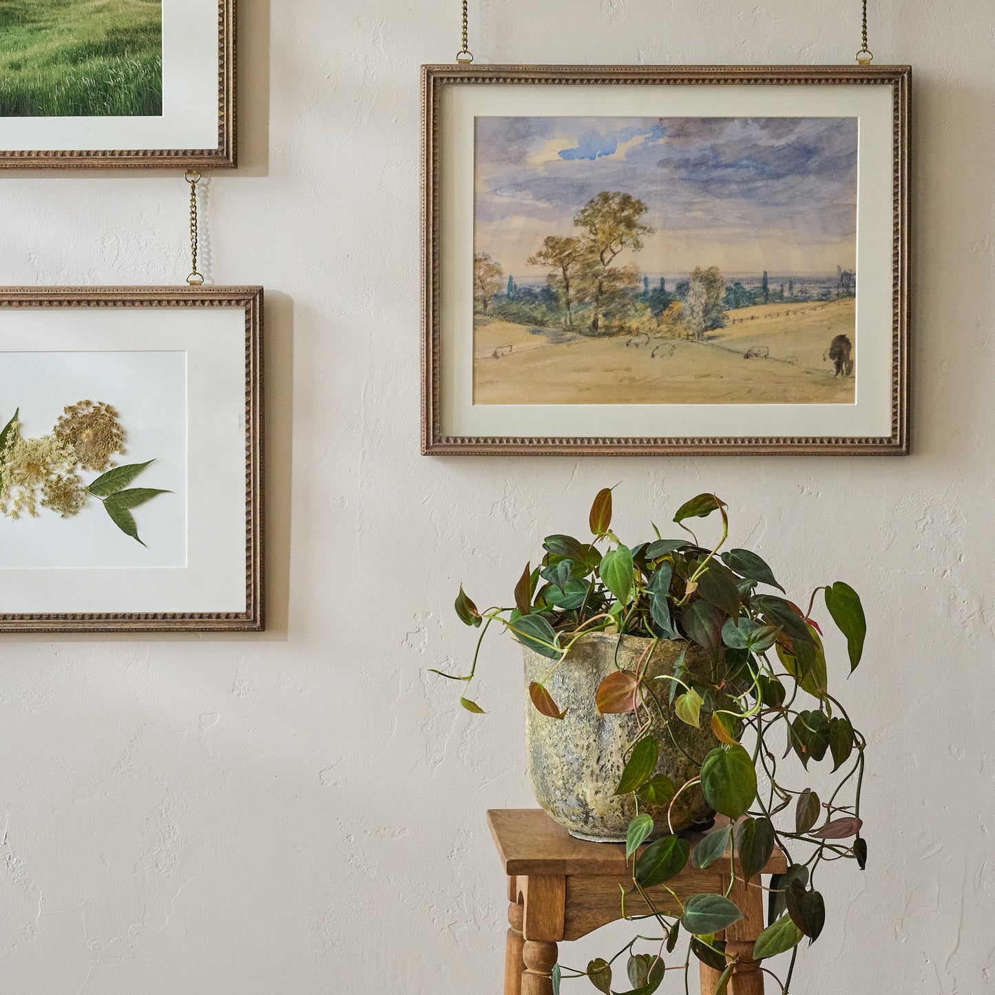 Scalloped Rim Planter shown on plant stand in room