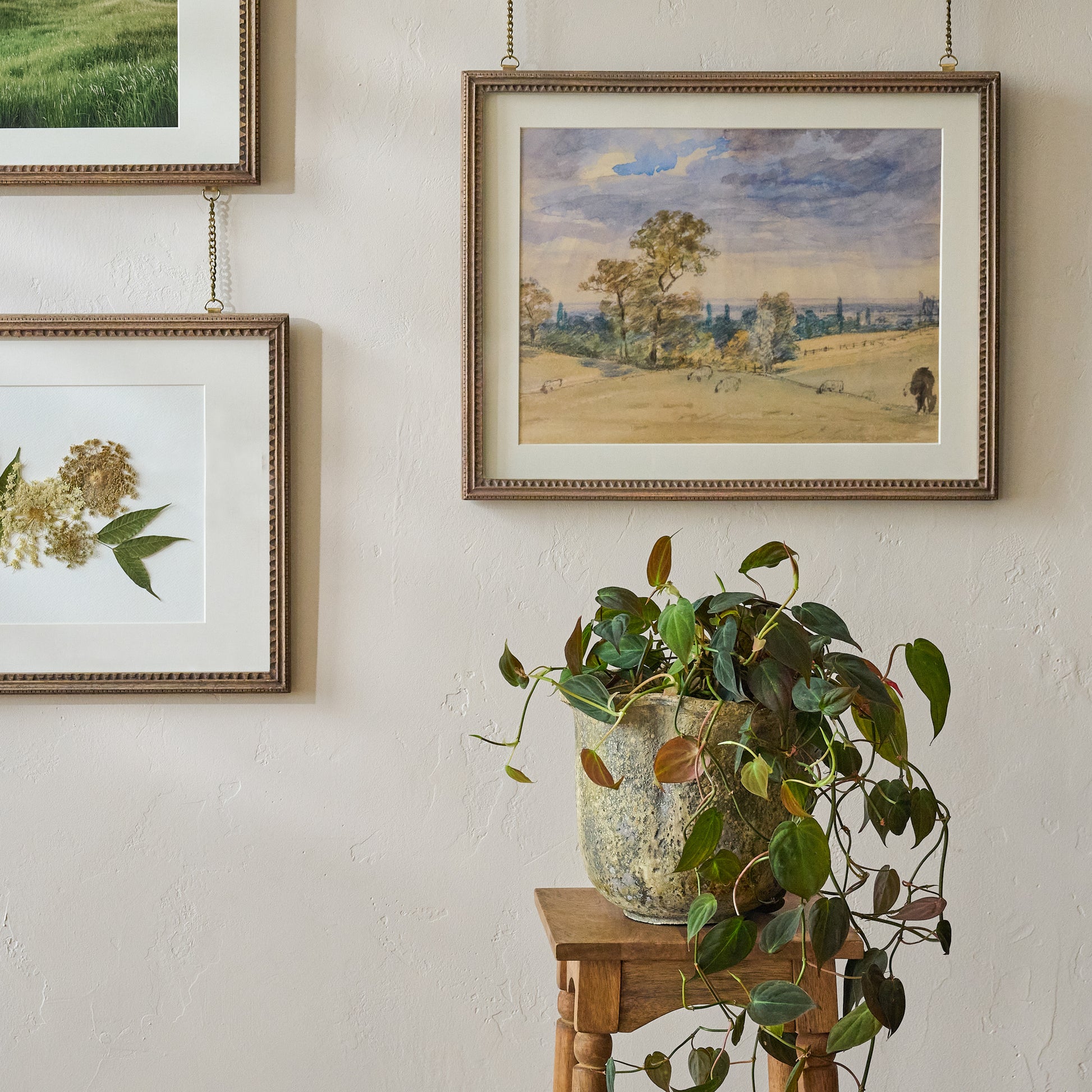 Scalloped Rim Planter shown on plant stand in room