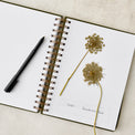 Herbarium Journal open to a page with dried flowers