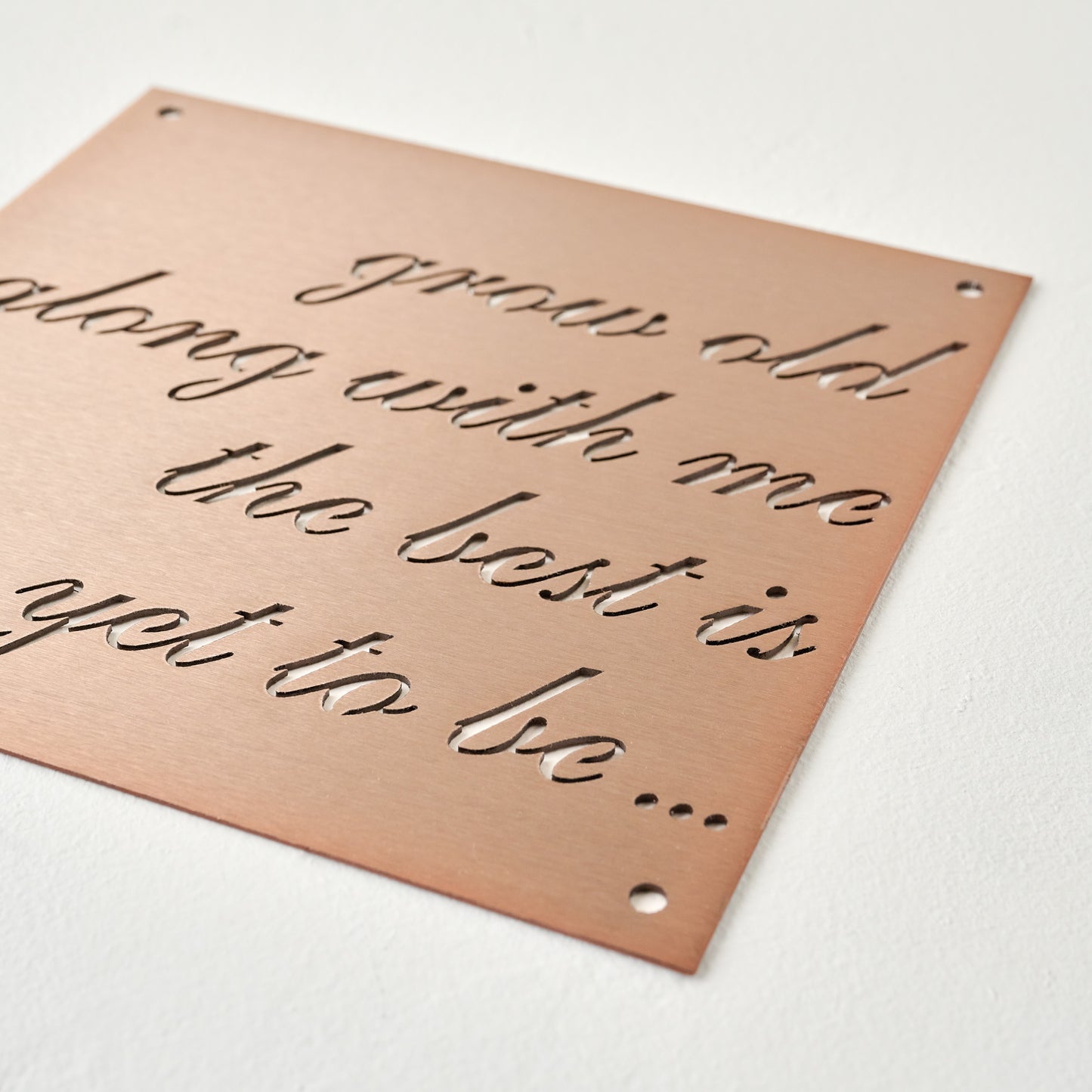 Grow Old Along With Me Sign shown up close