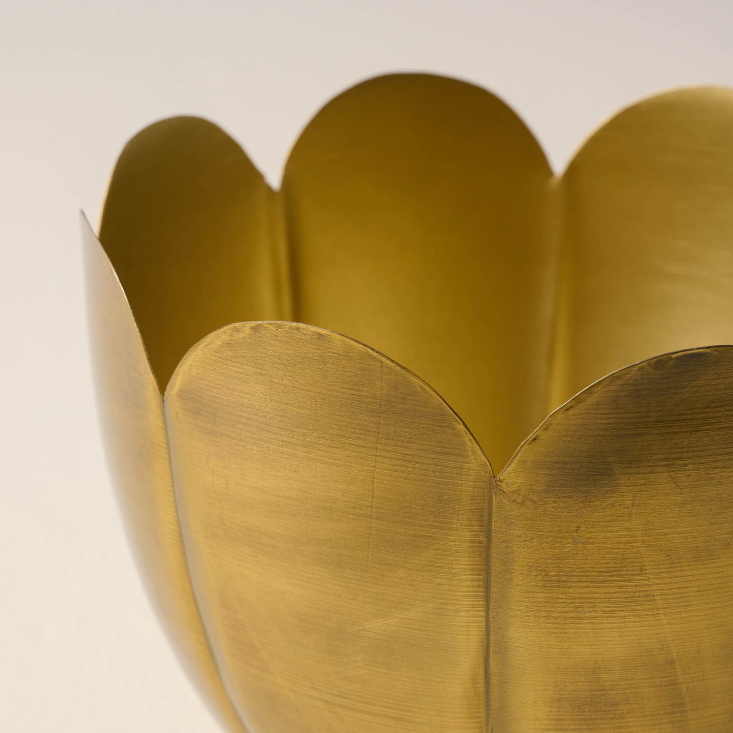 Daisy Gold Scalloped Planter close up