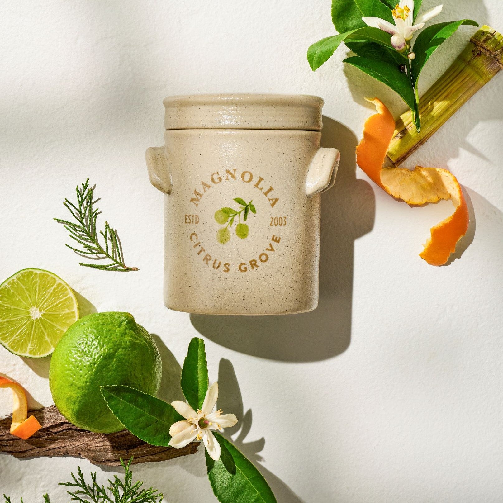 citrus grove candle with scent notes including lime and clementine