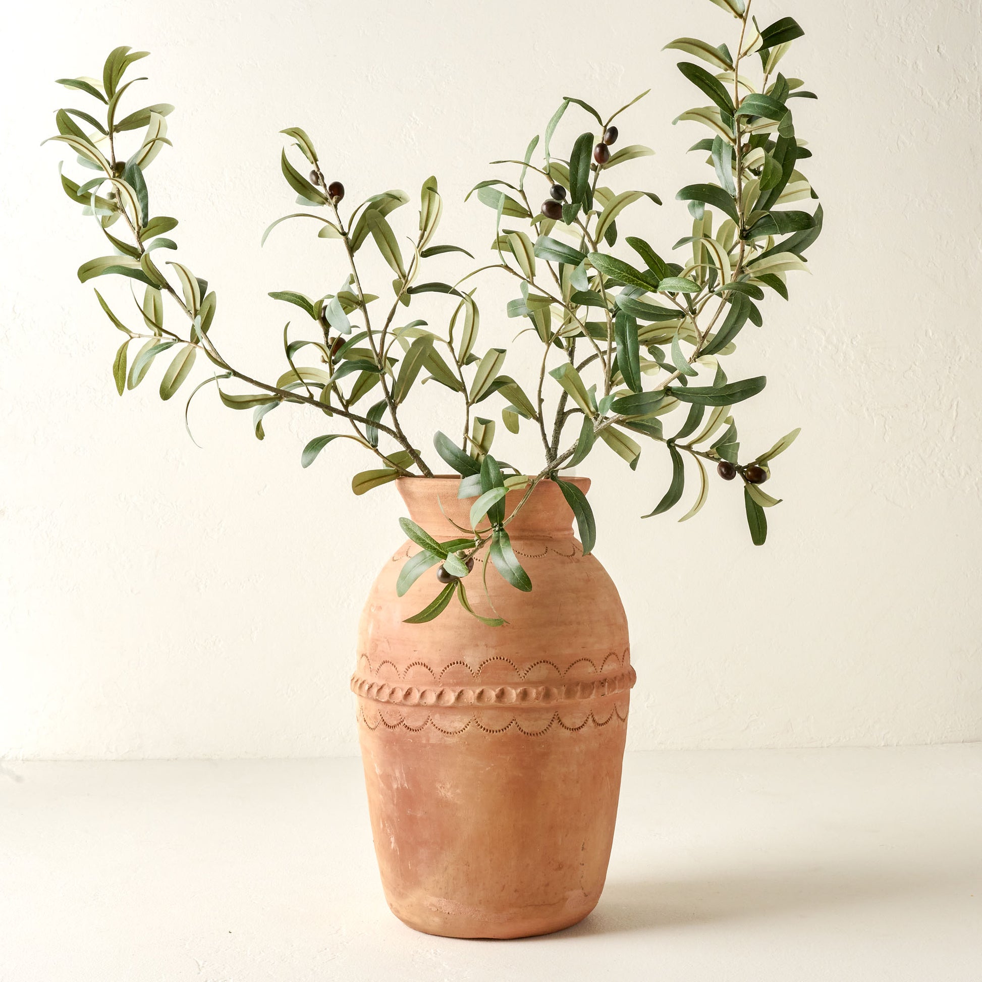 Olive Leaf Stem in terracotta vase