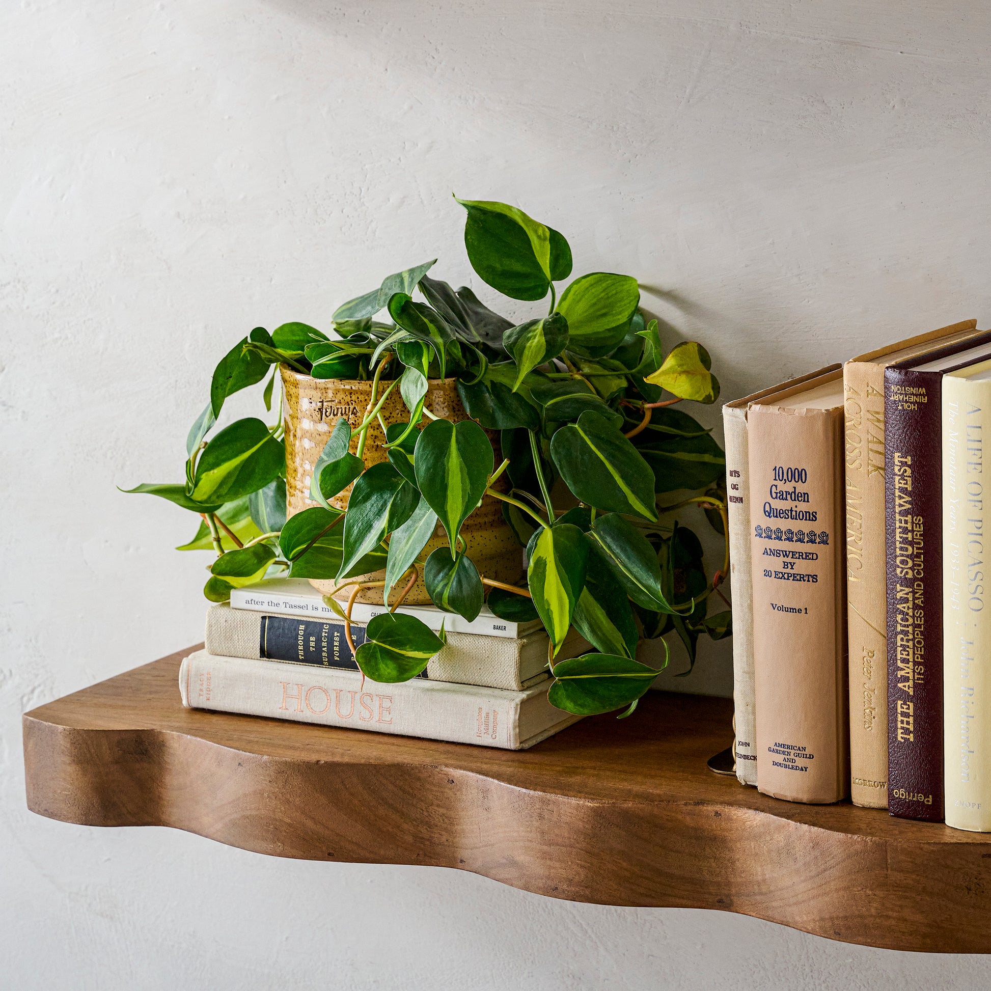 Elise Curved Shelf with books and a potted plant on top