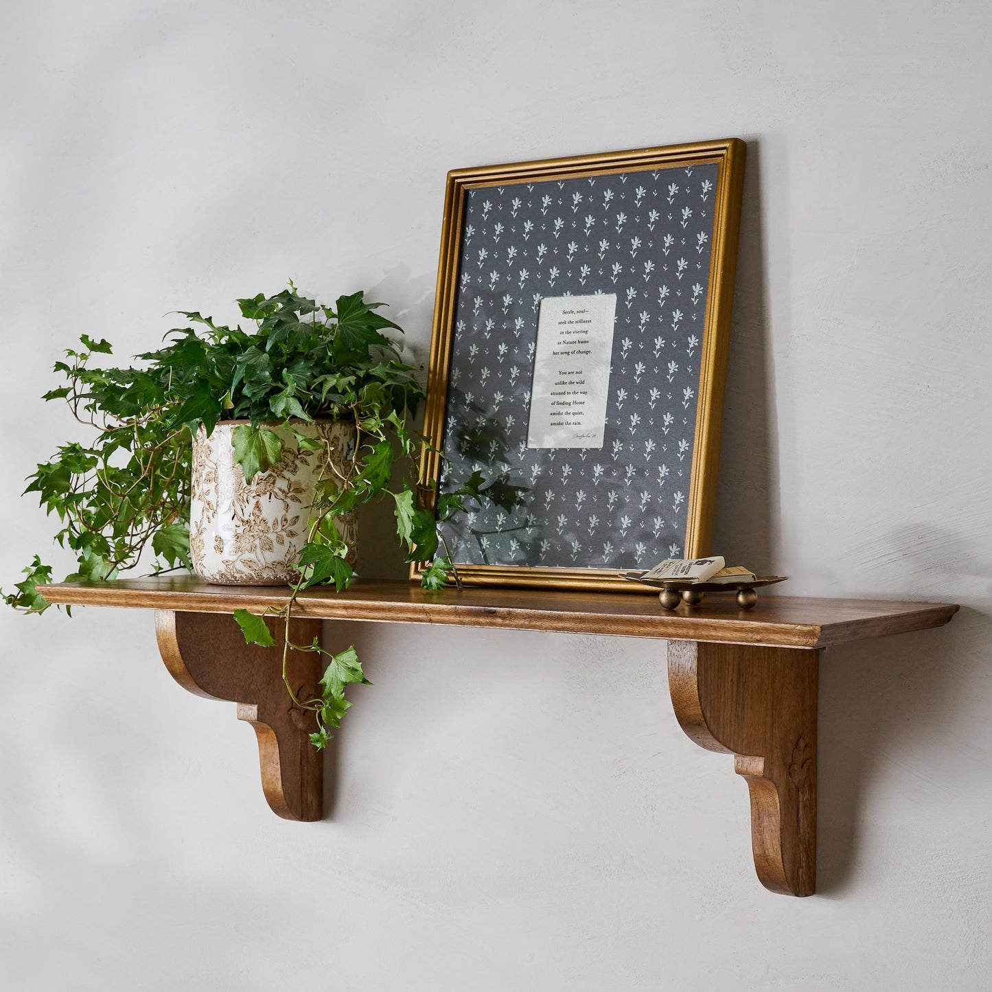 Brown and White Distressed Planter shown on shelf with plant
