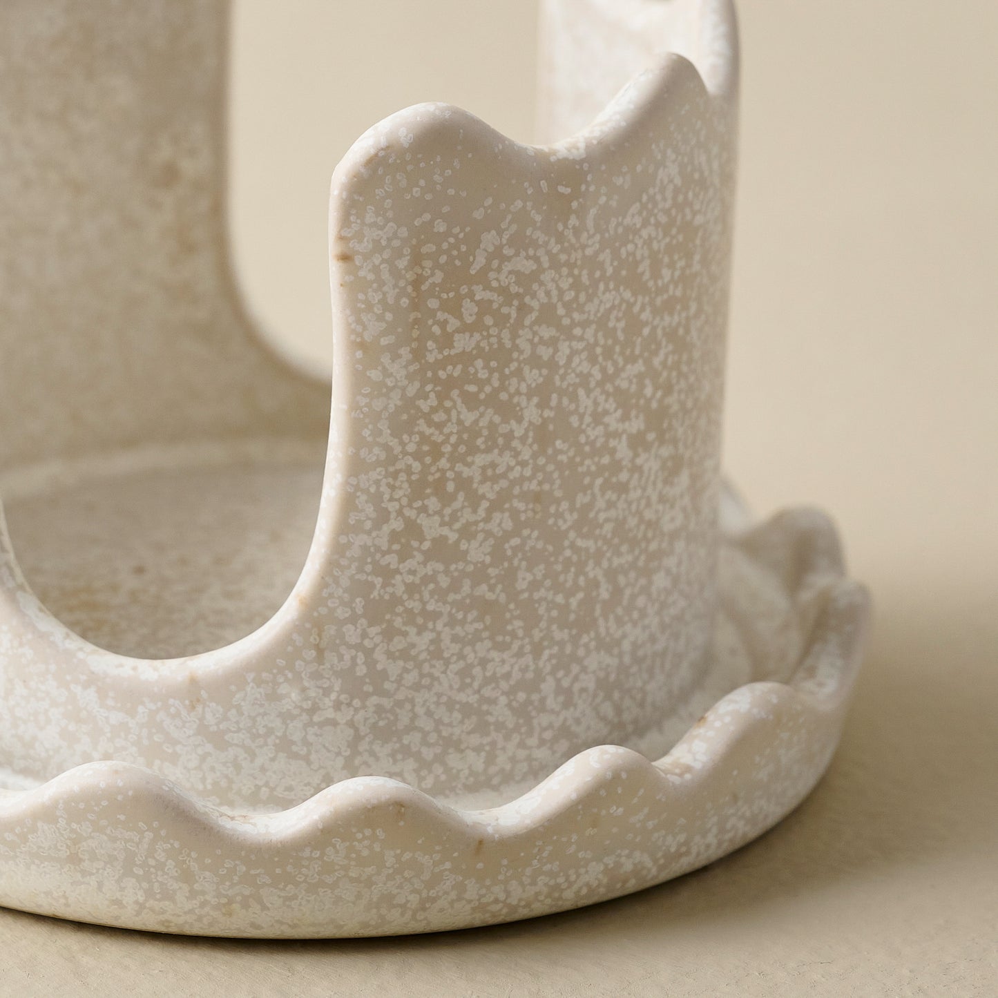 French White Sponge Keeper up close