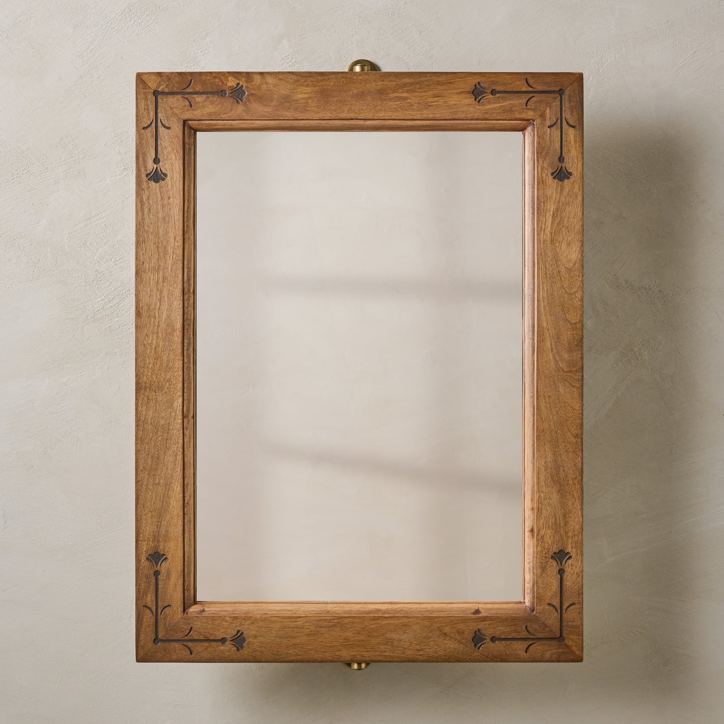 Penelope Wood and Brass Swivel Mirror