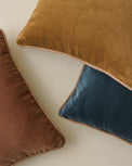 Lexie Velvet Pillows