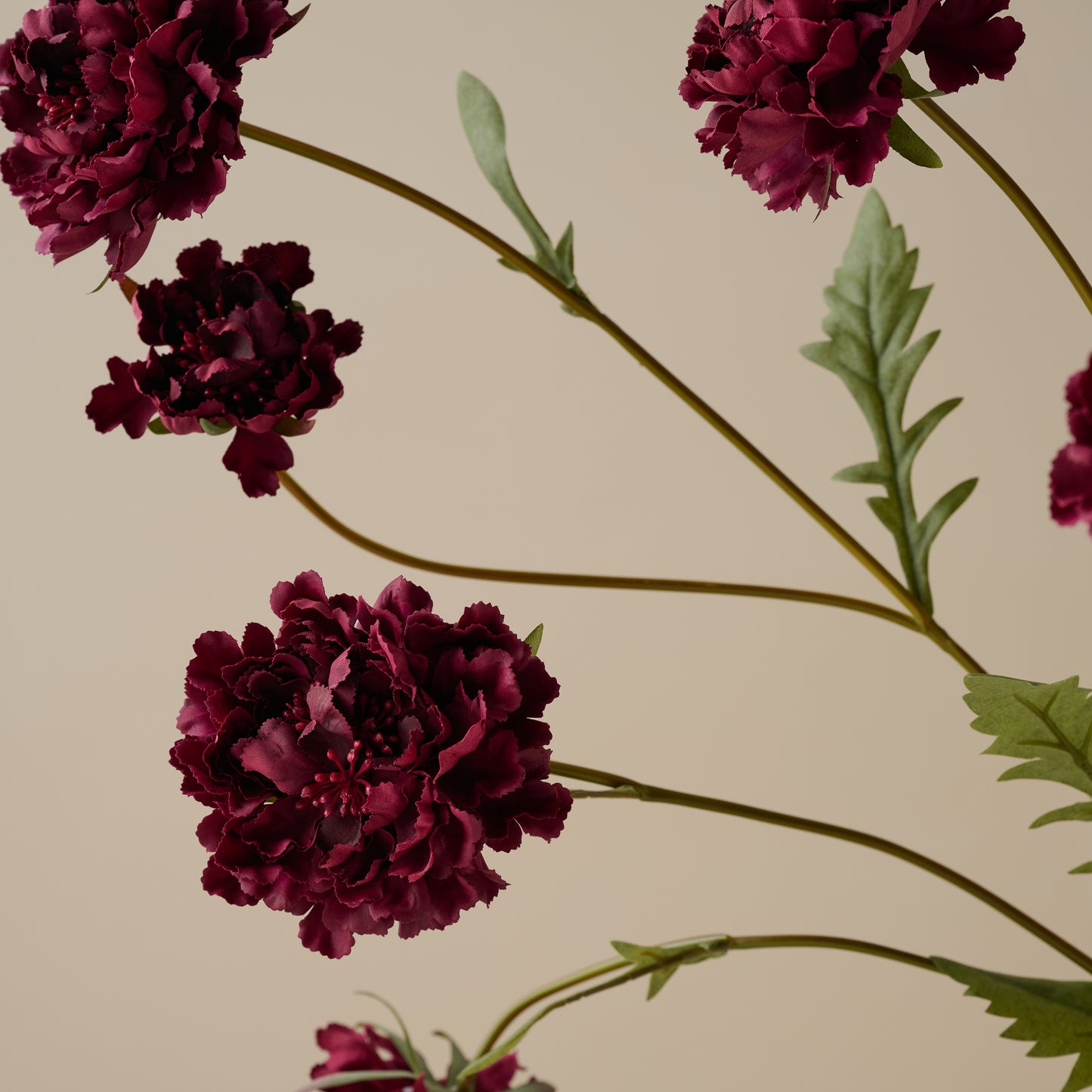 Real Touch Red Velvet Scabiosa Stem up close