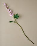 Larkspur Stem (Purple)