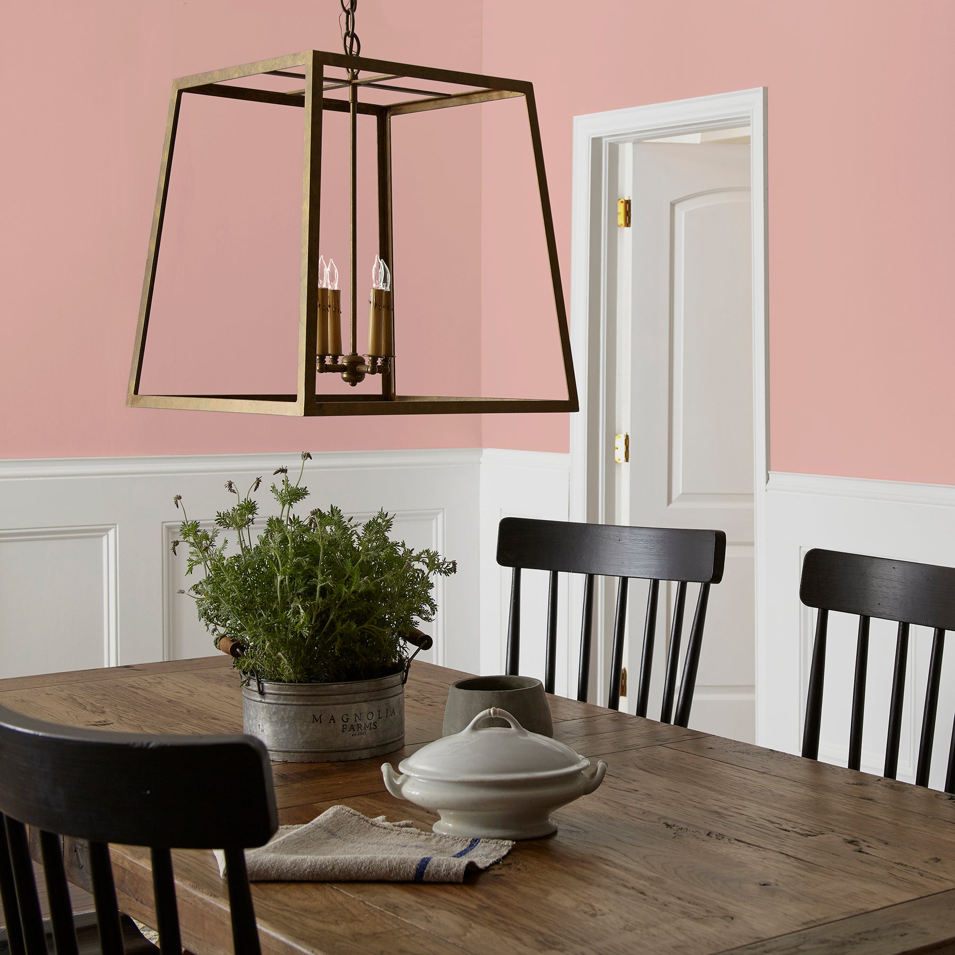 light salmon pink paint named cabbage rose shown painted on dining room wall