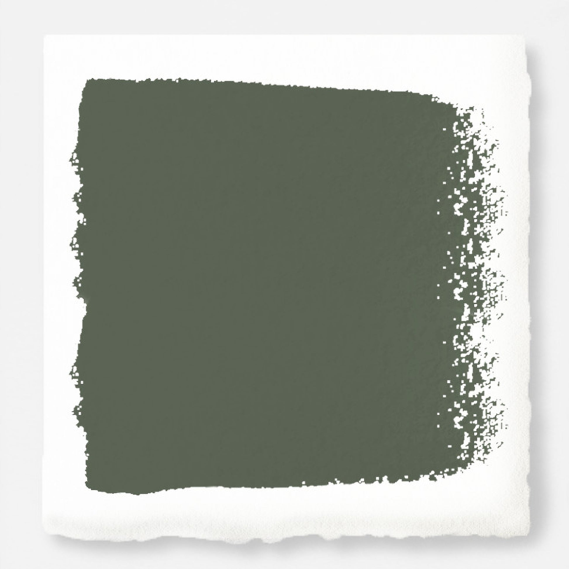Dark and rich sage green paint named lemon leaves