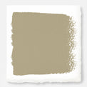 sunwashed green paint color named juniper tree
