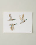 Mallards in Flight II Fine Art Print - 5 x 7