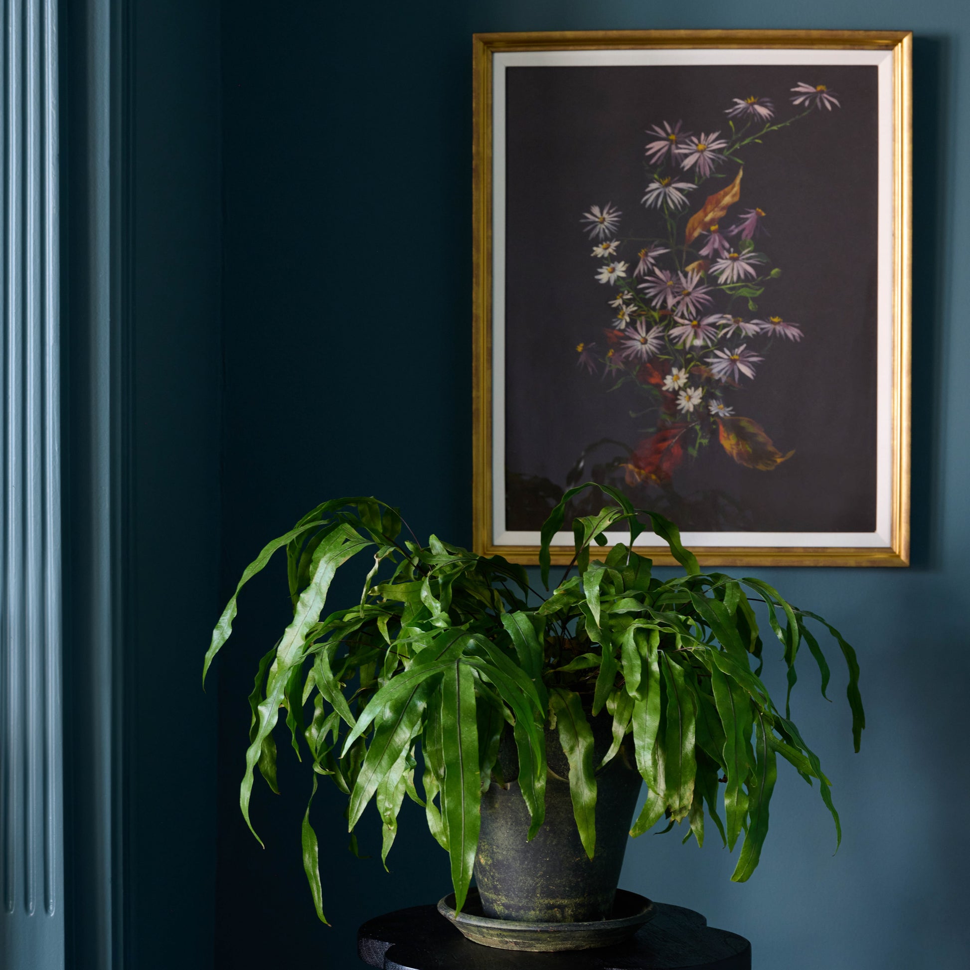 Shadowed Meadow on a wall above a potted plant