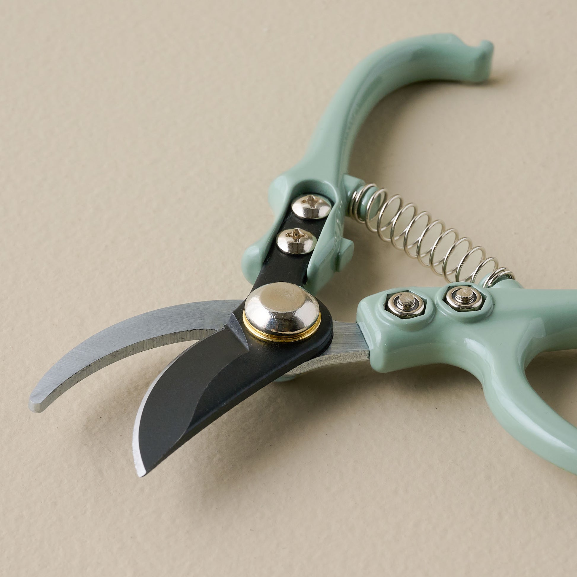 Pale Mint Pruners close up